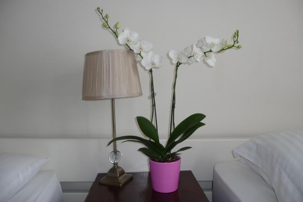 Killarney House Western Road Hotel Cork Habitación foto